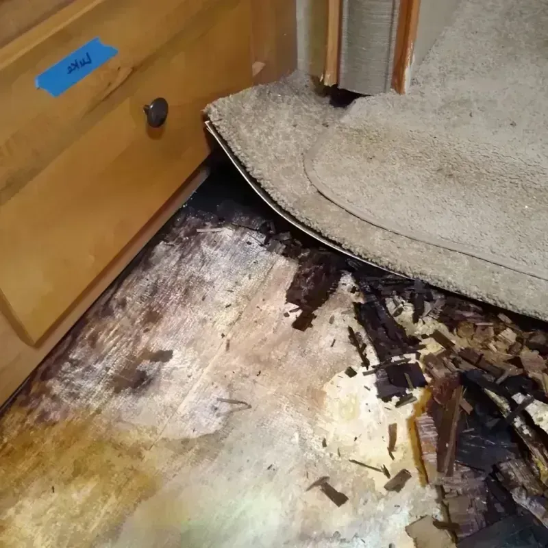 Wood Floor Water Damage in Lassen County, CA